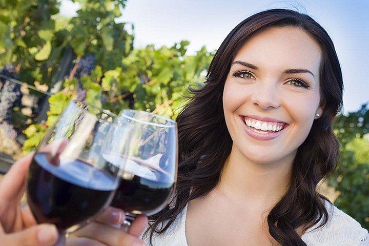 Niagara-on-the-Lake Small Group Wine Tour: 3 Wineries and Picnic Lunch, 5.5 Hours (1/11)