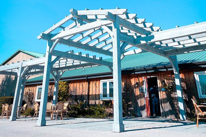 Niagara-on-the-Lake Small Group Wine Tasting: 3 Wineries, Morning or Afternoon (9/11)