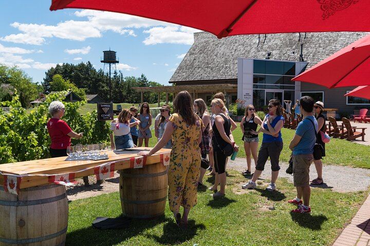 Niagara-on-the-Lake Small Group Wine Tasting: 3 Wineries, Morning or Afternoon (3/11)