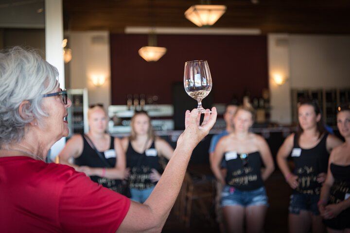 Niagara-on-the-Lake Small Group Wine Tasting: 3 Wineries, Morning or Afternoon (11/11)