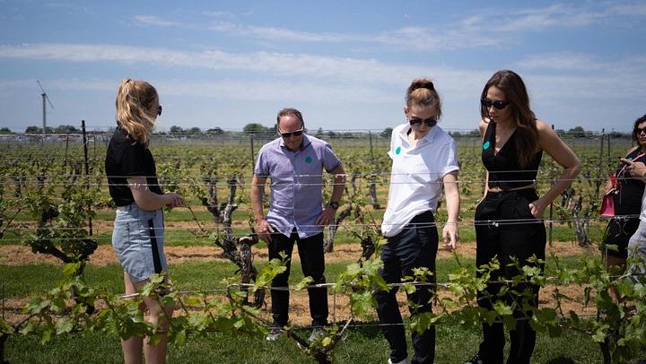 Small Group Niagara-on-the-Lake Wine Tour with Lunch and Fallsview Pickup (3/8)