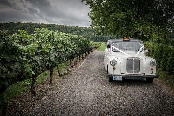 Private Niagara-on-the-Lake Wine Tour in a Classic English Cab with Picnic Lunch