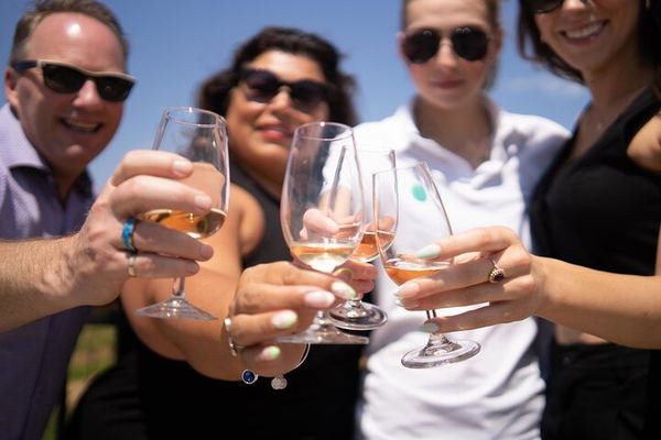 Small Group Niagara-on-the-Lake Wine Tour with Lunch and Fallsview Pickup