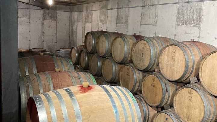 Niagara Half-Day Wine Tasting with Three-Course Chef Dinner and Hotel Transfers (4/6)