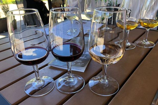 Niagara Half-Day Wine Tasting with Three-Course Chef Dinner and Hotel Transfers