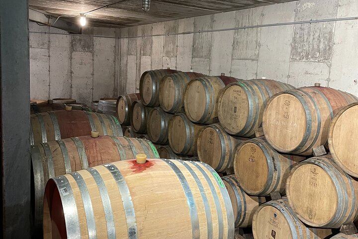 Niagara Half-Day Wine Tasting with Three-Course Chef Dinner and Hotel Transfers (4/6)