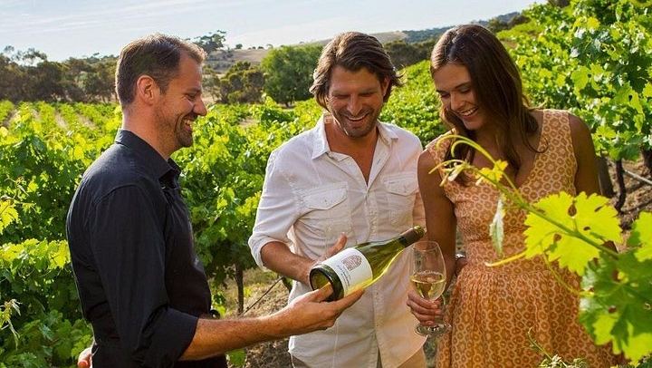 Niagara-on-the-Lake Small Group Wine Tour: 3 Wineries and Picnic Lunch, 5.5 Hours (2/11)