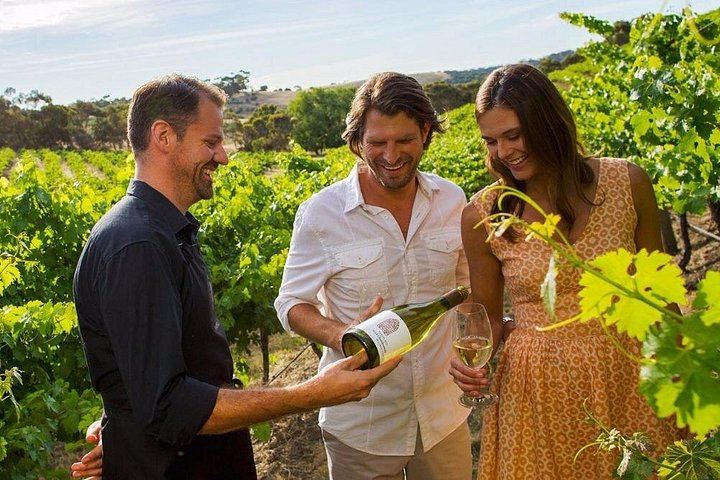 Niagara-on-the-Lake Small Group Wine Tour: 3 Wineries and Picnic Lunch, 5.5 Hours (2/11)
