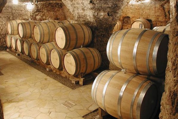 Private Full-Day Custom Wine Tour from Avignon: Choose Châteauneuf, Gigondas or Vacqueyras