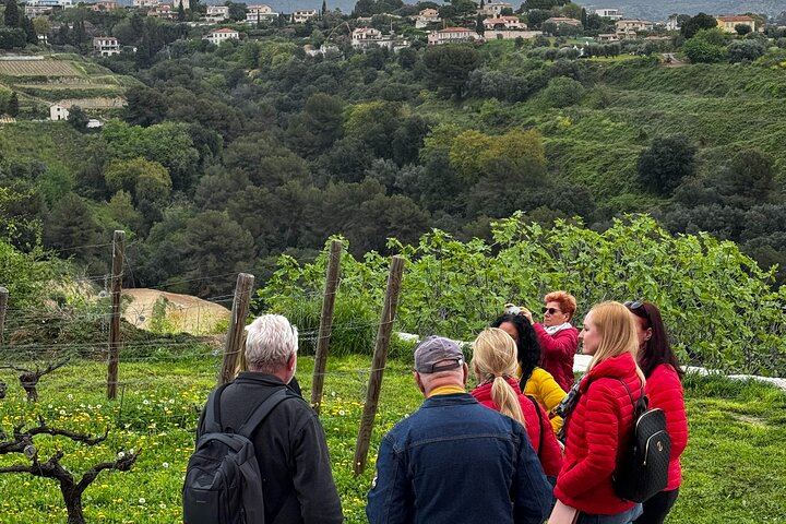 Vintage Land Rover Defender Wine Tasting in the Hills above Nice, Castle of Cremat (7/12)