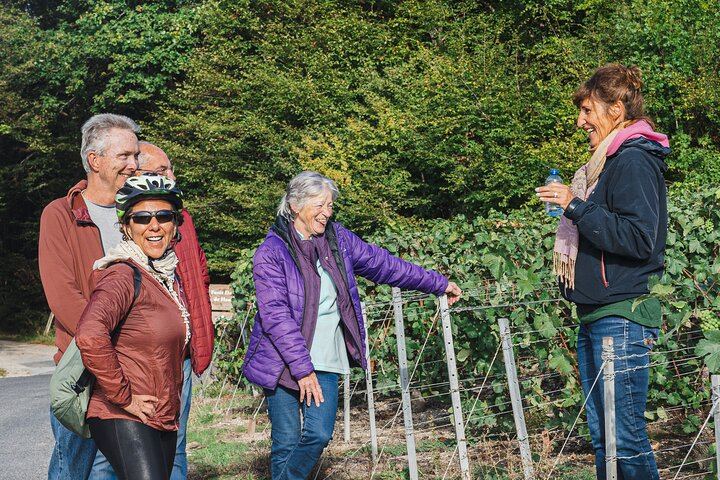Small-Group Champagne Day Trip by Van, Max 8 Guests, with Lunch and Grower Tasting (5/8)