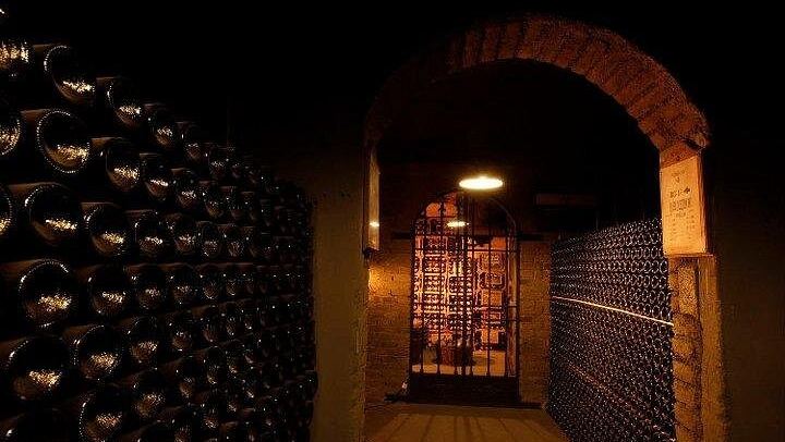 Luján de Cuyo Wine Tasting: Benegas, Ruca Malen and Norton's Paired Lunch (4/12)