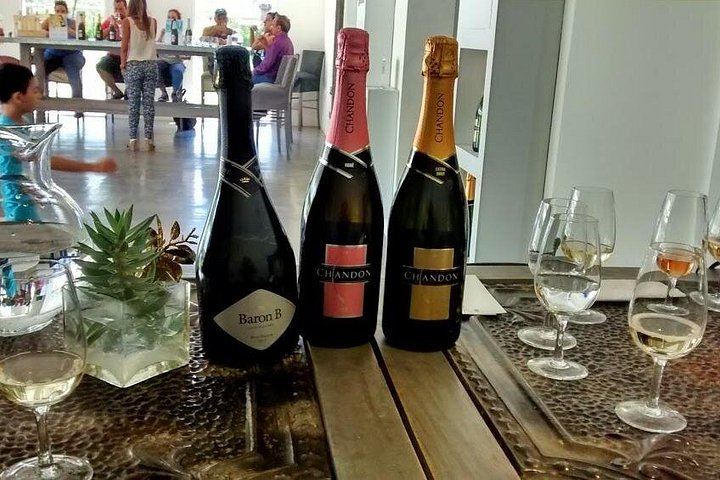 Luján de Cuyo Wine Tasting: Benegas, Ruca Malen and Norton's Paired Lunch (6/12)