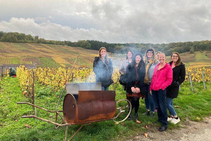 Small-Group Champagne Day Trip by Van, Max 8 Guests, with Lunch and Grower Tasting (6/8)