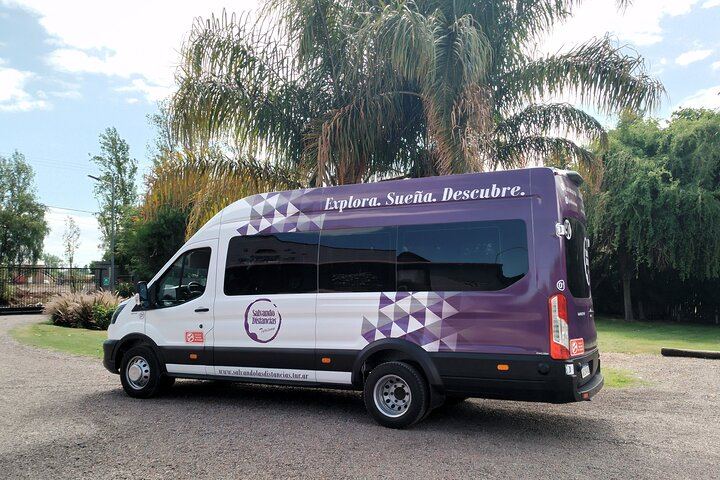 Maipú Afternoon Excursion: Three Wineries and an Olive Mill with Tastings (12/12)