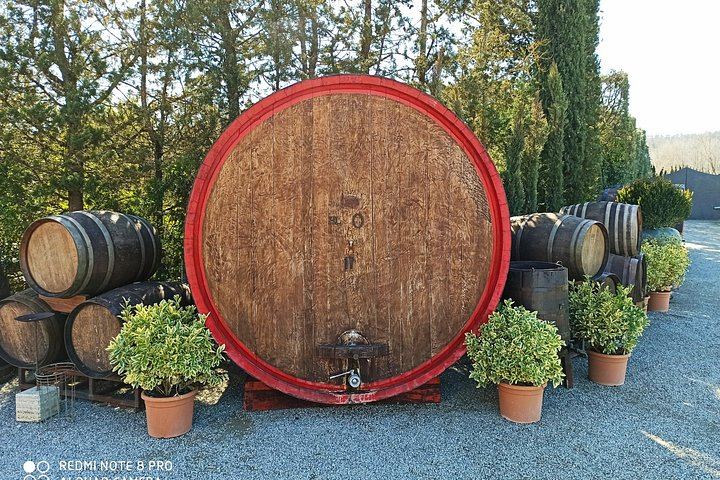 Private Chianti and San Gimignano Day Trip by Minivan with Farm Lunch and Wine Tasting (11/12)