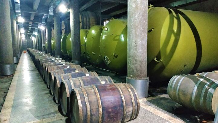 Private Kakheti Wine Day: Qvevri Master, Kvareli Tunnel, Kindzmarauli and KTW Tastings (3/9)