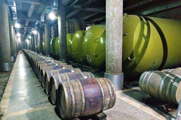 Private Kakheti Wine Day: Qvevri Master, Kvareli Tunnel, Kindzmarauli and KTW Tastings (3/9)