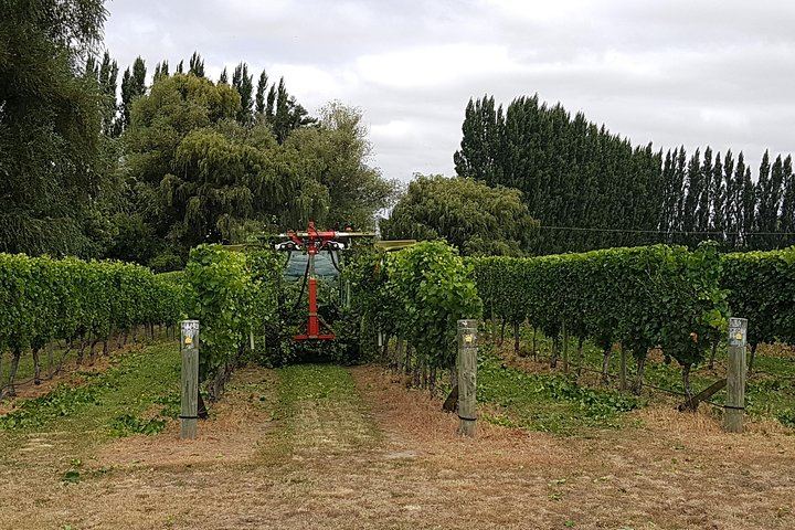 Afternoon Marlborough Wine Tour: Small Group of 11, Four Wineries, Hotel Pickup (3/7)