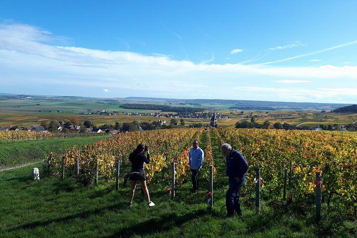 4x4 Defender Vineyard Safari near Reims with Panoramic Champagne Tasting, 2 to 8 Guests (12/12)