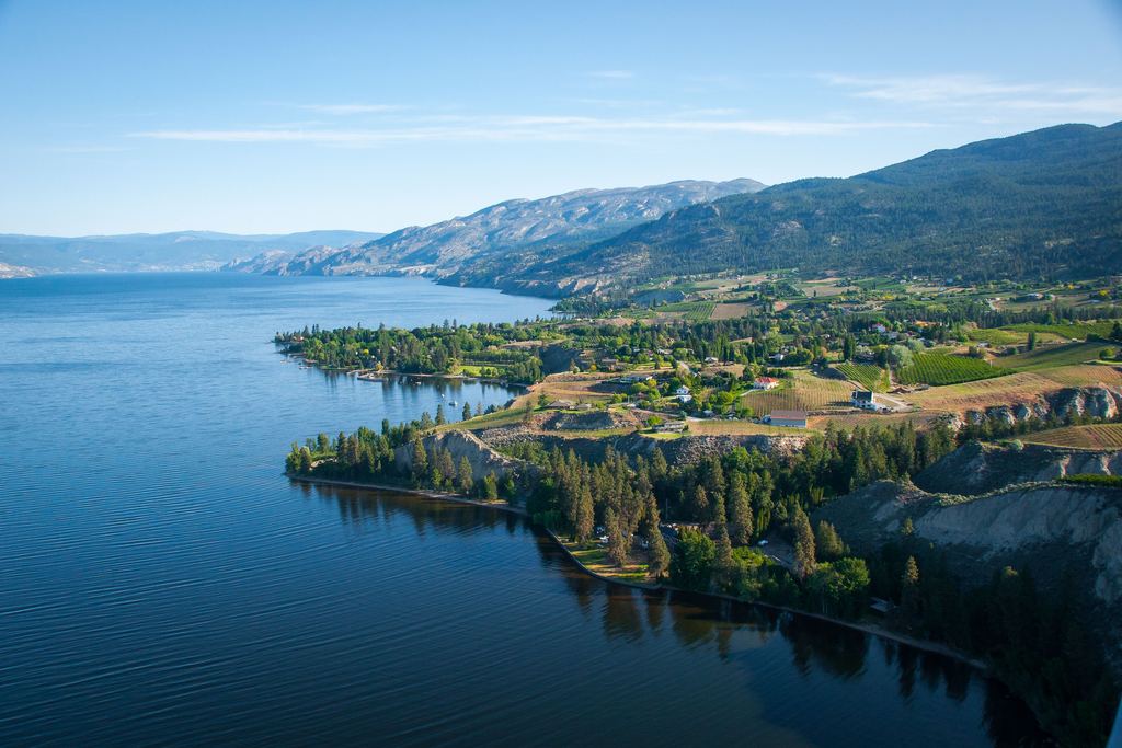 Aerial view of the Okanagan Lake shore with vineyards and orchards between the water and the hills