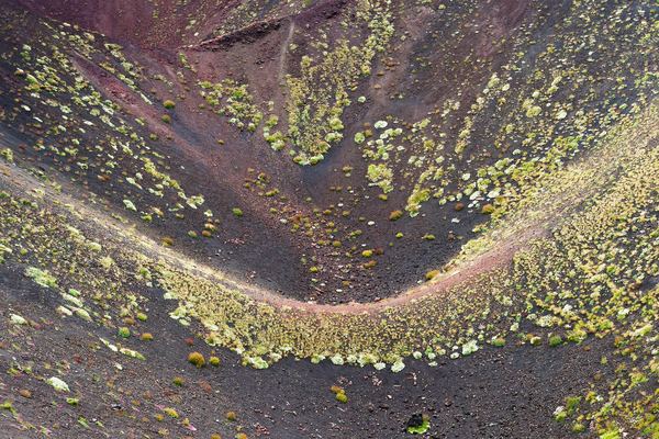 Etna Wine Tours