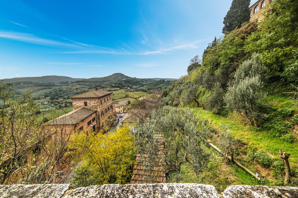 Olive terraces and farmhouses on the hillside below Montepulciano, Tuscany