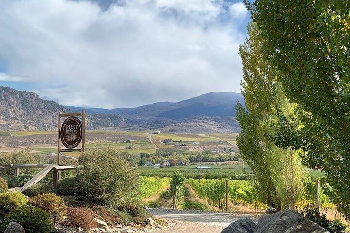 Osoyoos and Oliver Half-Day Wine Tour with Sip Happens, Tastings and Gratuity Included (10/12)