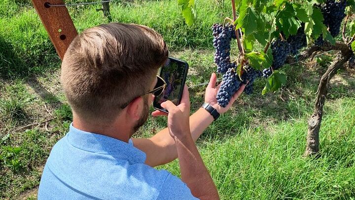 Small Group Chianti Classico Wine Day with a Certified Sommelier and Farm-to-Table Lunch (4/7)