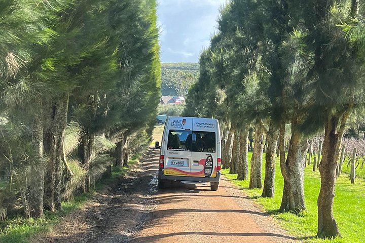 Waiheke Best Cellar Tour: Family-Run Small Group, 11 Guests Max, 3 Vineyards (4/12)