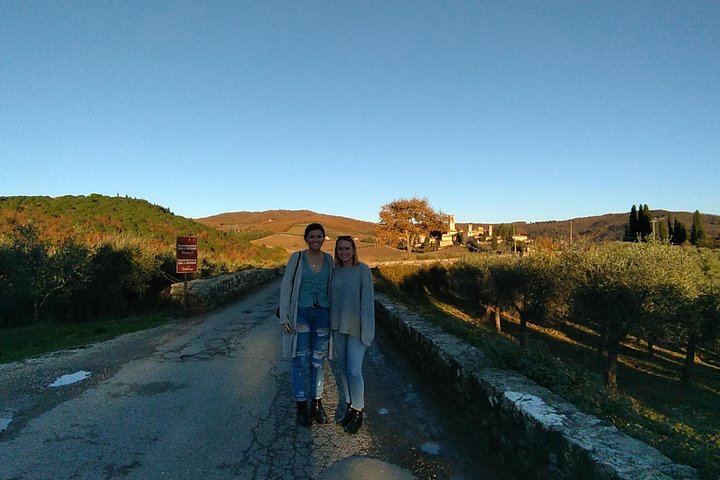 Five-Hour Chianti Sunset Tour from Florence with Driver and Two Tastings at a Family Farm (6/11)