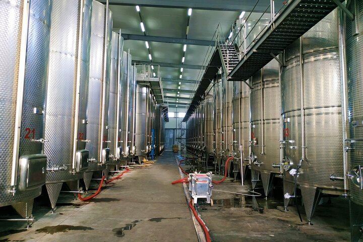 Private Kakheti Wine Day: Qvevri Master, Kvareli Tunnel, Kindzmarauli and KTW Tastings (8/9)