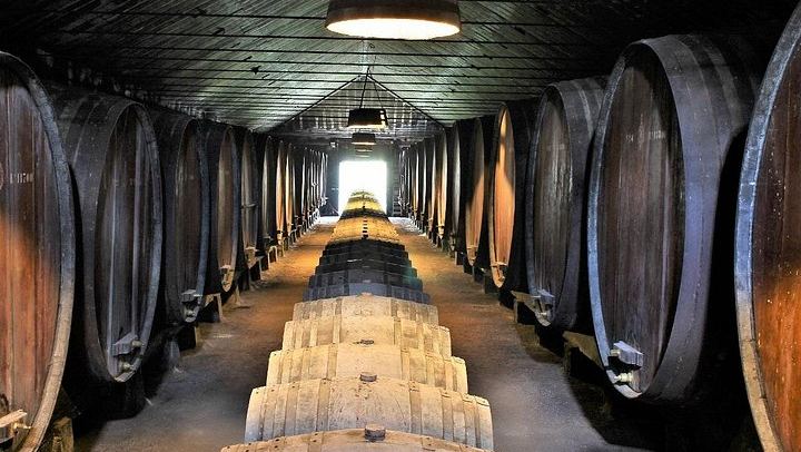 Private Setúbal Wine Day from Lisbon: Three Family Cellars or Two Plus a Village Lunch (1/12)