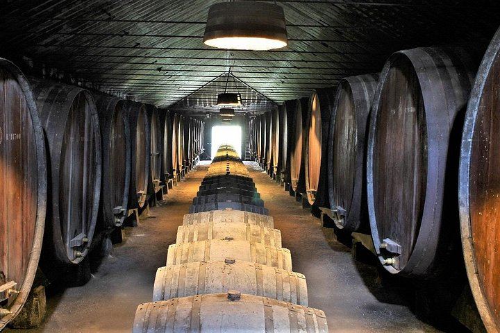 Private Setúbal Wine Day from Lisbon: Three Family Cellars or Two Plus a Village Lunch (1/12)