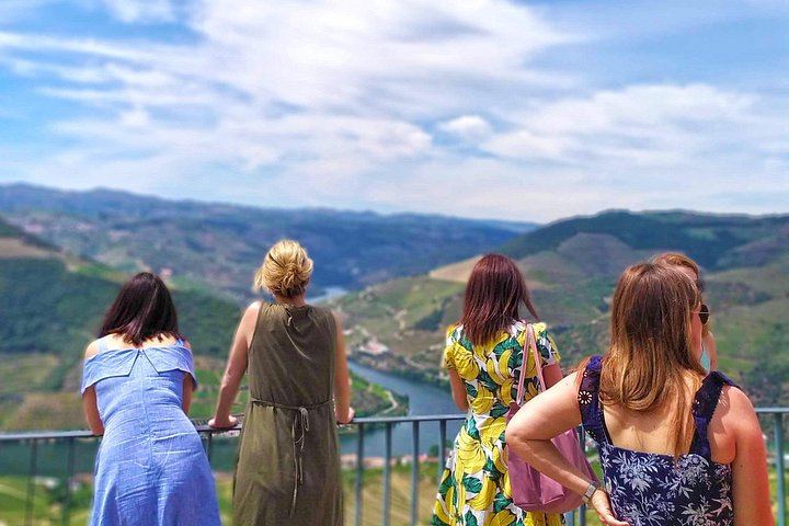 Douro Valley Mercedes Van Day Trip from Porto: Two Family Wineries and Boat Cocktail (2/12)