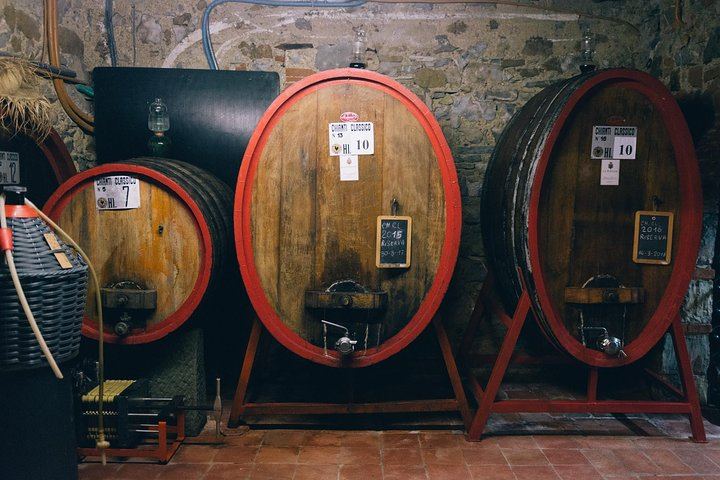 Private Land Rover Defender Wine Tour from Castellina in Chianti, Strade Bianche (8/12)