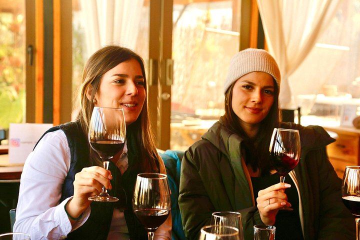 Campo La Quirinca Organic Farm Tour in Isla de Maipo with Wine, Pisco, Llamas and Alpacas (1/12)