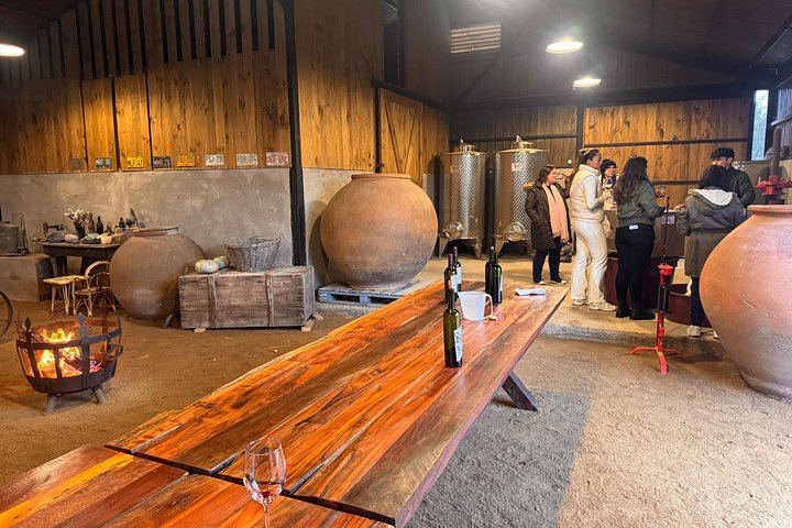 Campo La Quirinca Organic Farm Tour in Isla de Maipo with Wine, Pisco, Llamas and Alpacas (3/12)