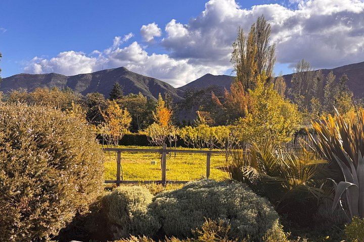 Campo La Quirinca Organic Farm Tour in Isla de Maipo with Wine, Pisco, Llamas and Alpacas (2/12)