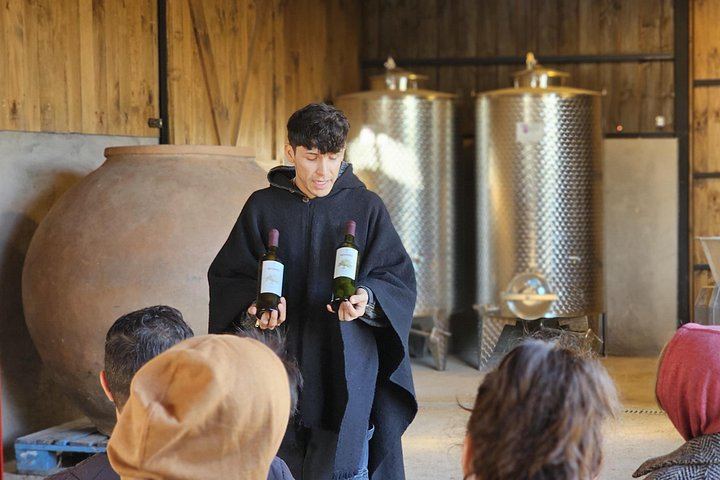 Campo La Quirinca Organic Farm Tour in Isla de Maipo with Wine, Pisco, Llamas and Alpacas (10/12)
