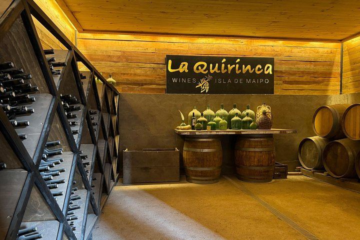 Campo La Quirinca Organic Farm Tour in Isla de Maipo with Wine, Pisco, Llamas and Alpacas (6/12)