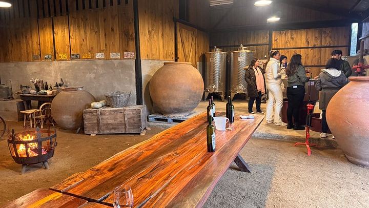 Campo La Quirinca Organic Farm Tour in Isla de Maipo with Wine, Pisco, Llamas and Alpacas (3/12)