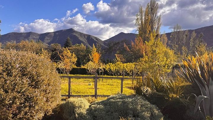 Campo La Quirinca Organic Farm Tour in Isla de Maipo with Wine, Pisco, Llamas and Alpacas (2/12)