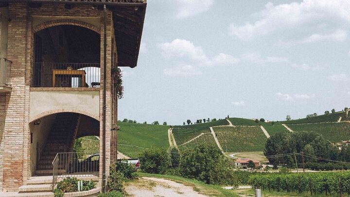 Organic Wine Tasting and Cellar Tour at a Family Winery in Diano d'Alba (3/5)