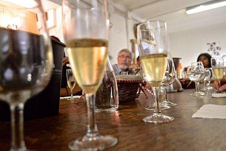 Nice Organic Wine Tasting in an Urban Warehouse, Libération District, with a Wine Expert (1/5)