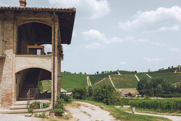 Organic Wine Tasting and Cellar Tour at a Family Winery in Diano d'Alba (3/5)