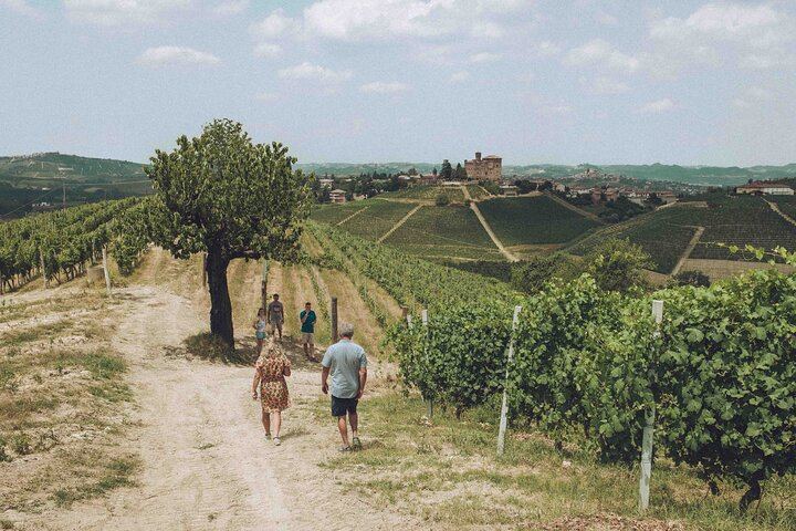 Organic Wine Tasting and Cellar Tour at a Family Winery in Diano d'Alba (5/5)