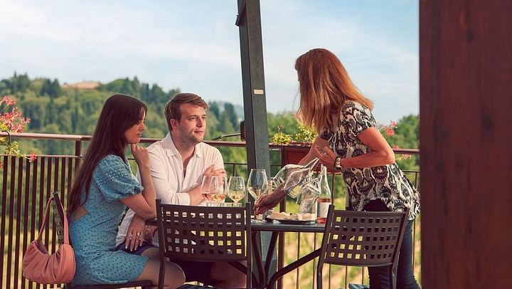 Organic Chianti Classico Farm Tasting: Small-Group Tour on a Terrace Above the Vines (2/12)