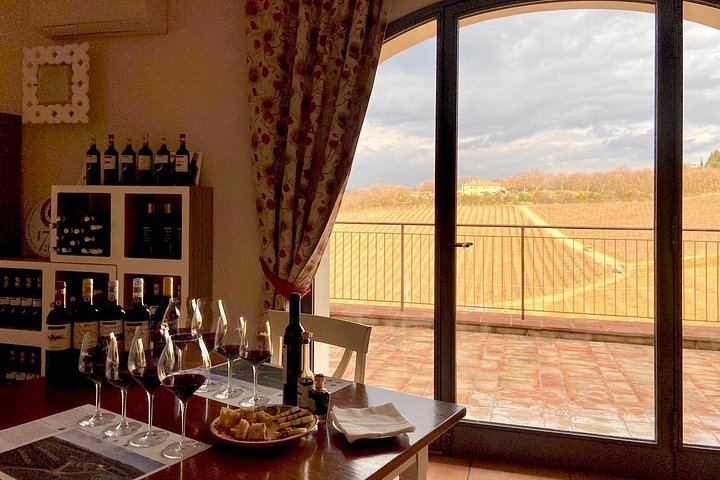 Organic Chianti Classico Farm Tasting: Small-Group Tour on a Terrace Above the Vines (12/12)