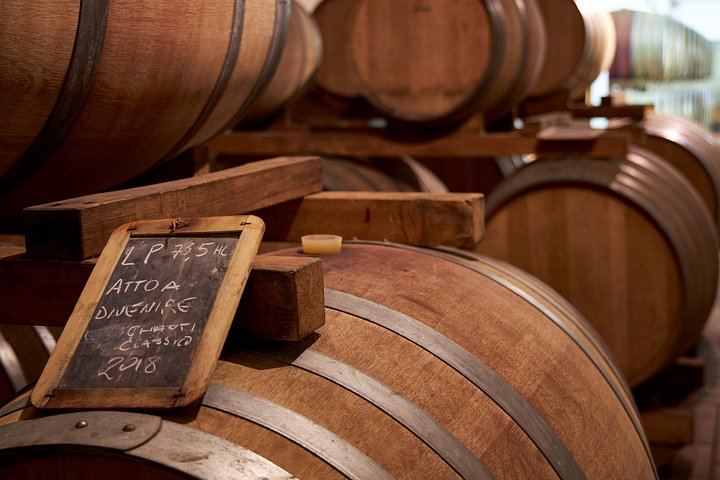 Organic Chianti Classico Farm Tasting: Small-Group Tour on a Terrace Above the Vines (10/12)